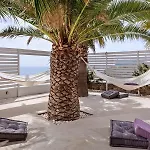 Pietra E Mare - Mykonos Moments By Mr And Mrs White Hotel